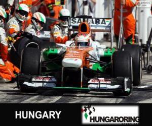 yapboz Paul di Resta - Force India - Hungaroring, 2013